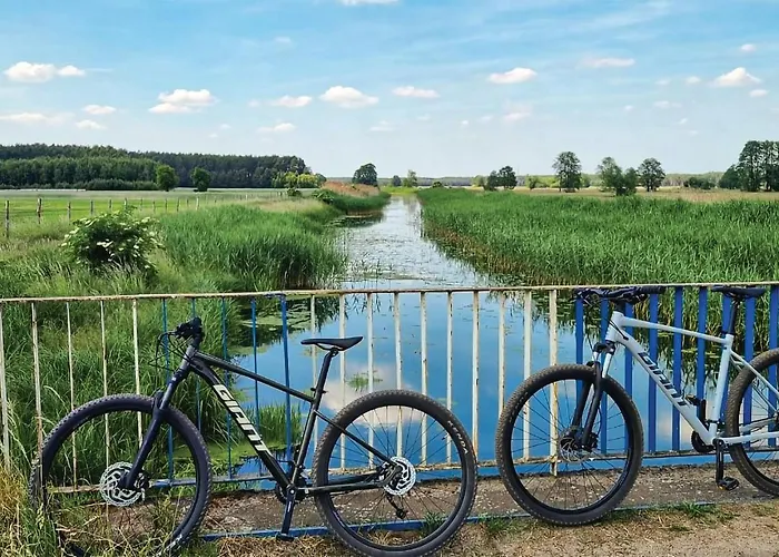 2 Bedroom Beautiful In בית נופש Wilcze (Greater Poland)